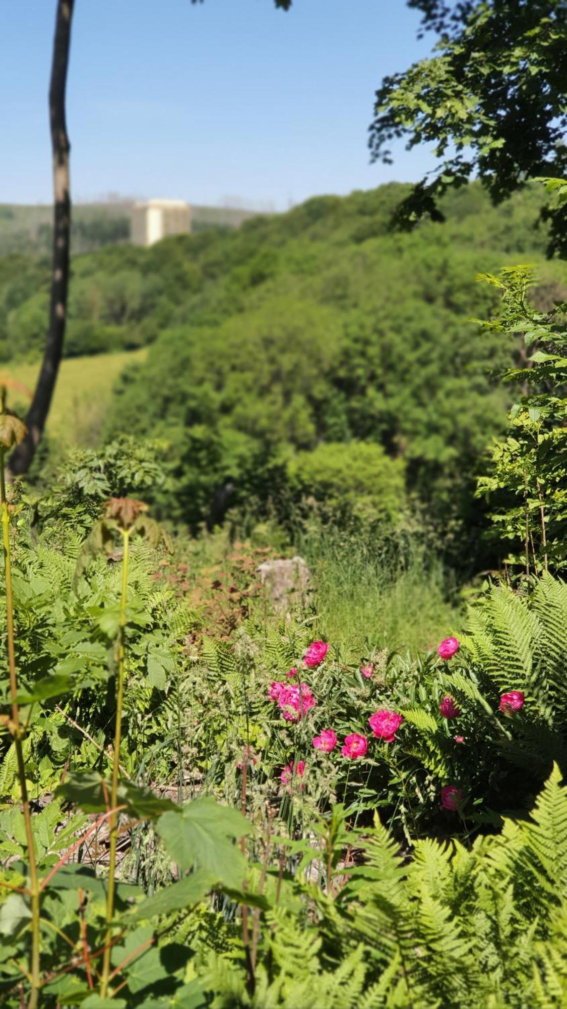 Hotel Schneiderhof 브라운라제 외부 사진